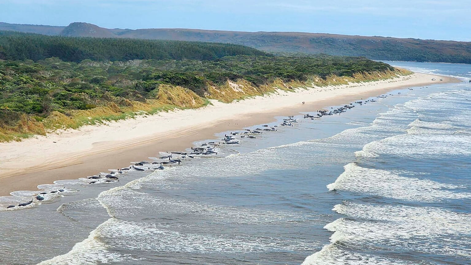 Tasmania