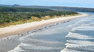 Tasmania