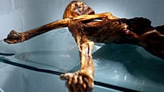 مومياء رجل الثلج المسمى "أوتزي"، الذي تم اكتشافه عام 1991 في نهر جليدي بإيطاليا، معروضة في المتحف الأثري في مدينة بولزانو الإيطالية، في 28 فبراير 2011 