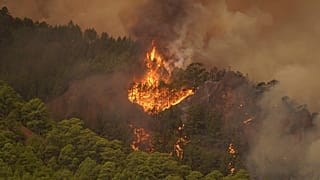 É um dos piores incêndios florestais da história de Tenerife