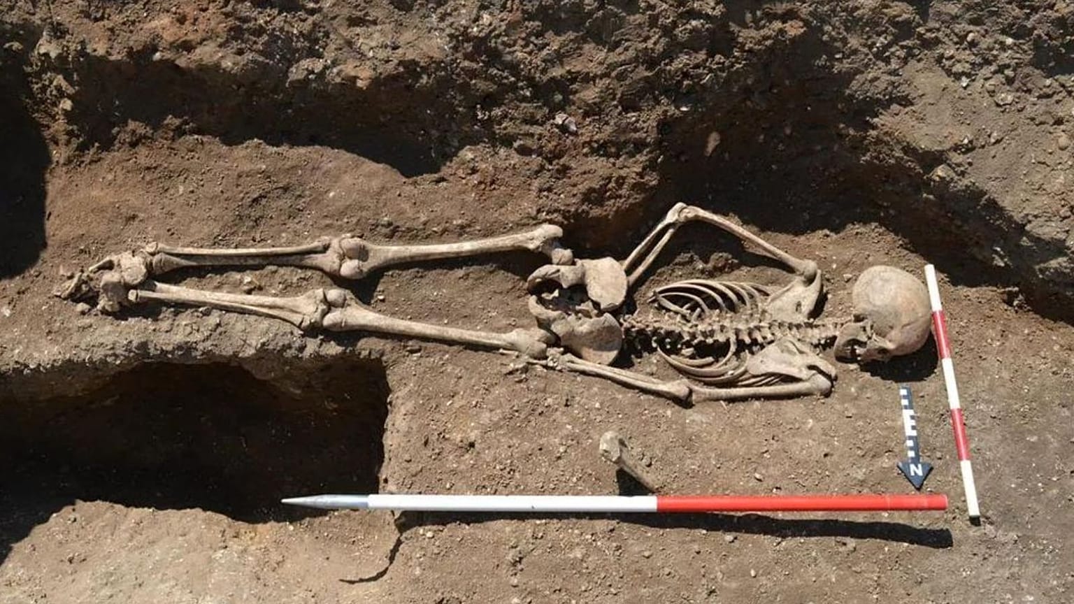 اسکلت دختر نوجوان متعلق به قرون وسطی 