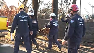 Emergency workers search for victims of the fire. August 2023