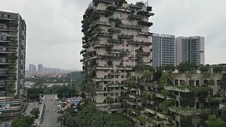 Китай. Недвижимость