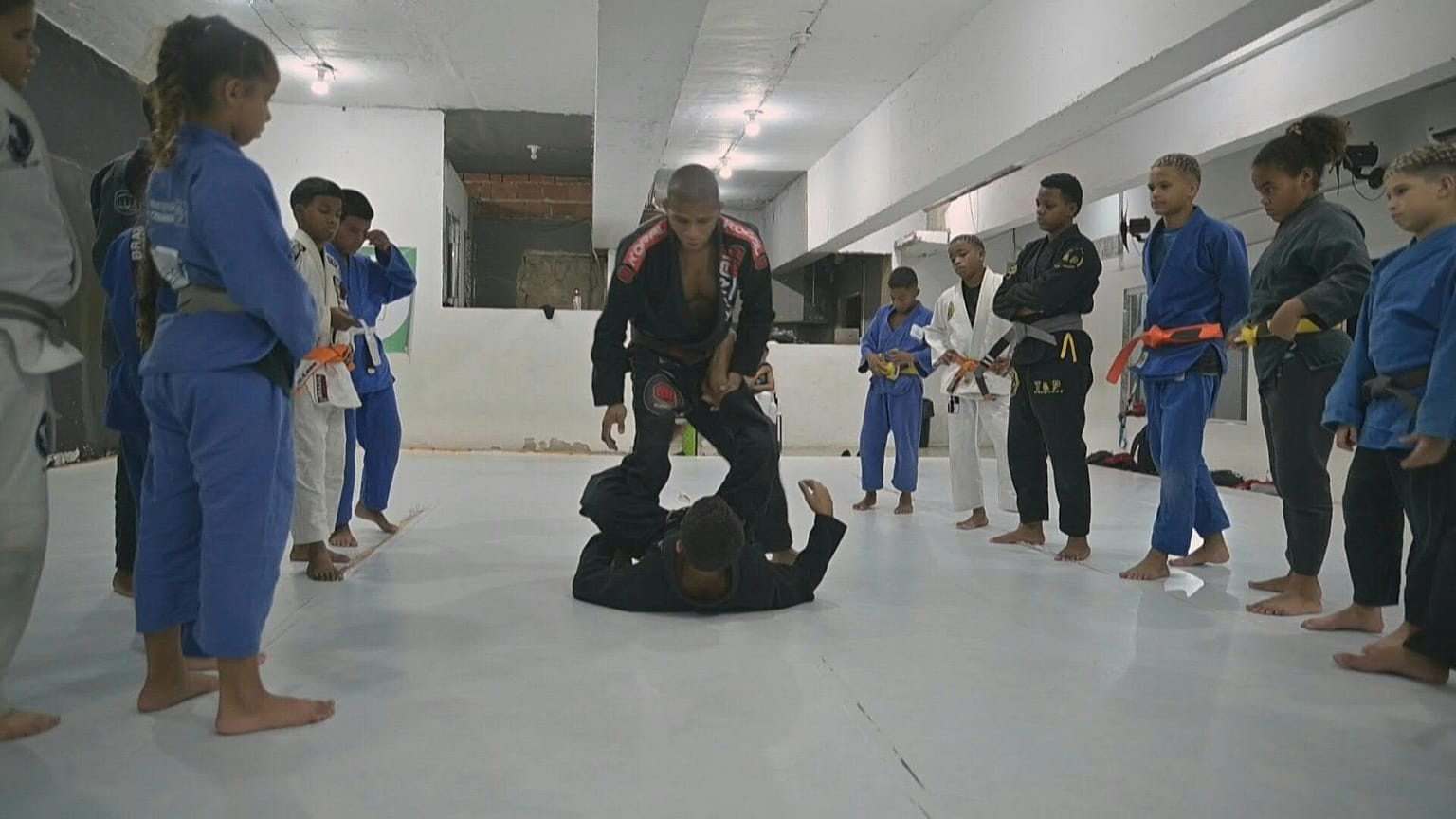 رياضة الجيوجيتسو في البرازيل