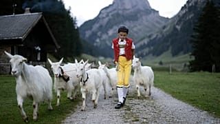 Le jeune éleveur Roman participe à l'"Alpabzug" (course d'alpage), le vendredi 26 août 2022, sur l'alpage de Saemtis à Bruelisau, en Suisse.