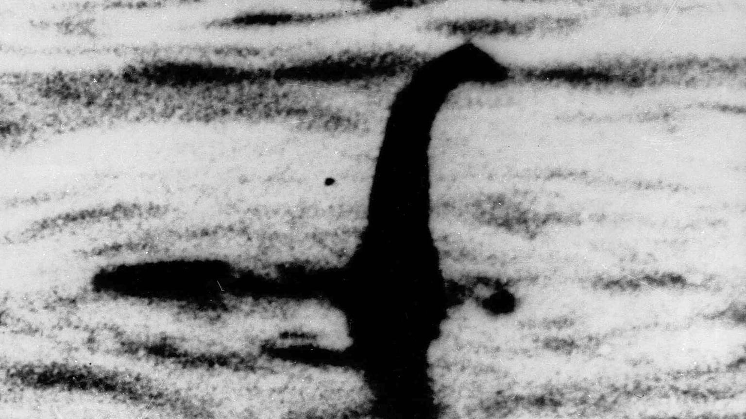 Bu su yüzeyinde oluşan şekil, kimilerince Nessie canavarı olarak tanımlanıyor ancak bilim topluluğu tarafından 'aldatmaca' olduğu belirtiliyor