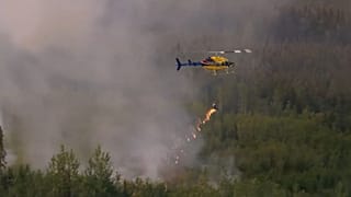 Allumage planifié du feu de forêt de Donnie Creek à l'aide d'un hélicoptère lance-flammes.