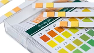 Urine Color