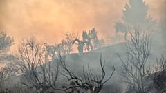 Yunanistan'da yangın