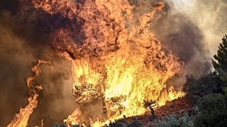 Autoridades gregas registaram mais de 60 novos focos no espaço de um dia