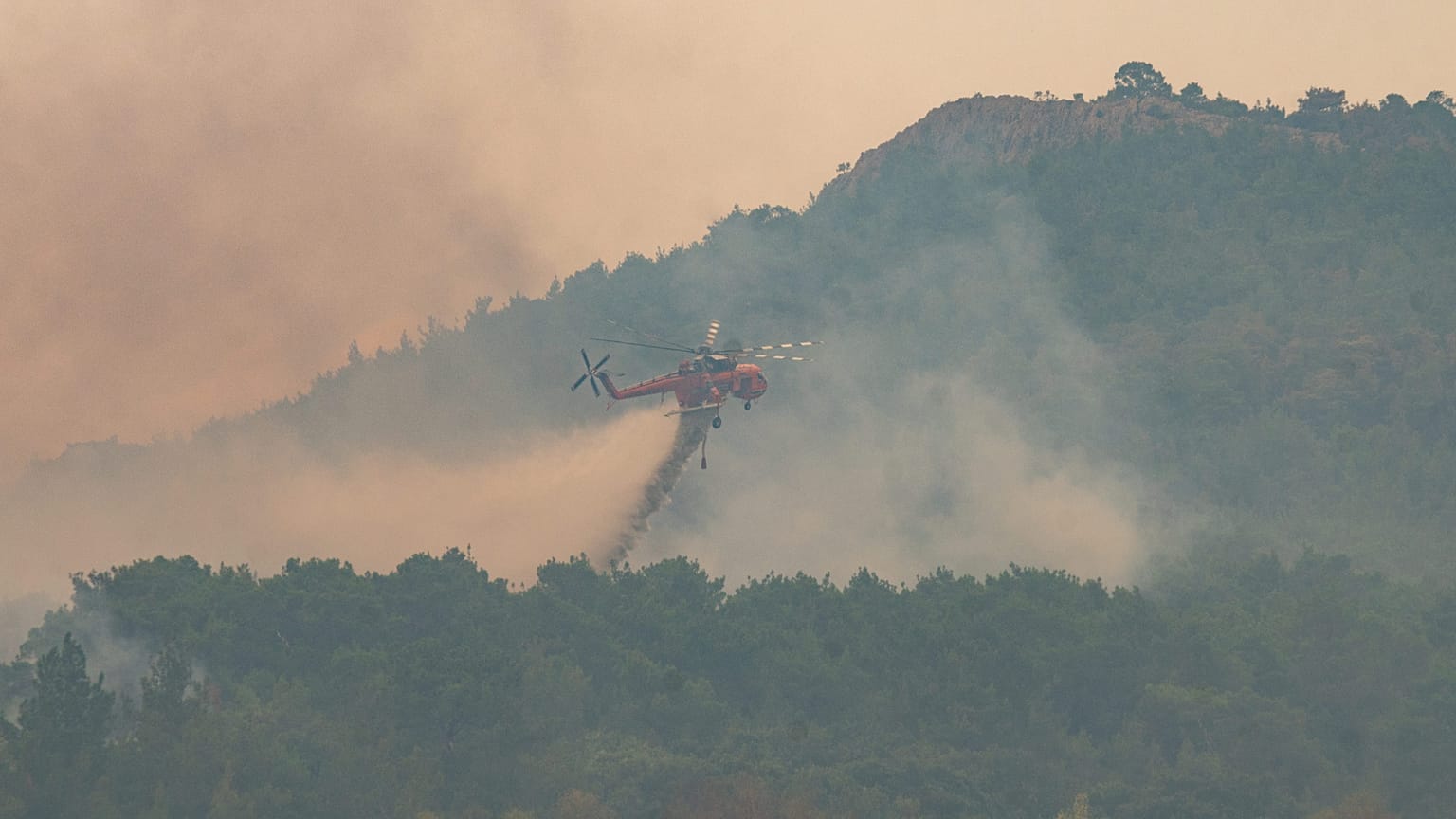 Πυρκαγιά στο εθνικό πάρκο της Δαδιάς (φώτο αρχείου)