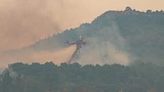 Πυρκαγιά στο εθνικό πάρκο της Δαδιάς (φώτο αρχείου)