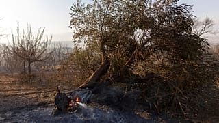 Autoridades gregas encontram 18 corpos em floresta queimada por incêndio