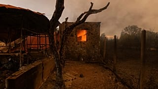 Zona carbonizada por las llamas en Grecia