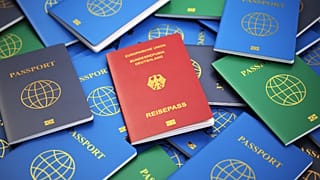 عکس تزیینی است