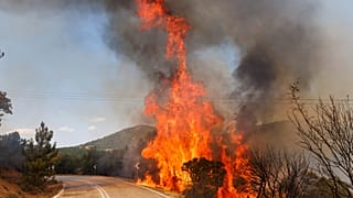 Incendies de forêt en Grèce, en août 2023.