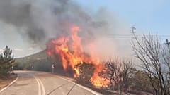 Feuer in der Nähe des Dorfs Kirkis bei Alexandroupolis.