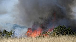 Φωτιά στην Αλεξανδρούπολη