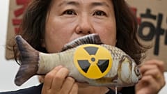 In Japan und Südkorea sorgt man sich um den Ruf von Meeresfrüchten, China verbietet deren Import aus Japan