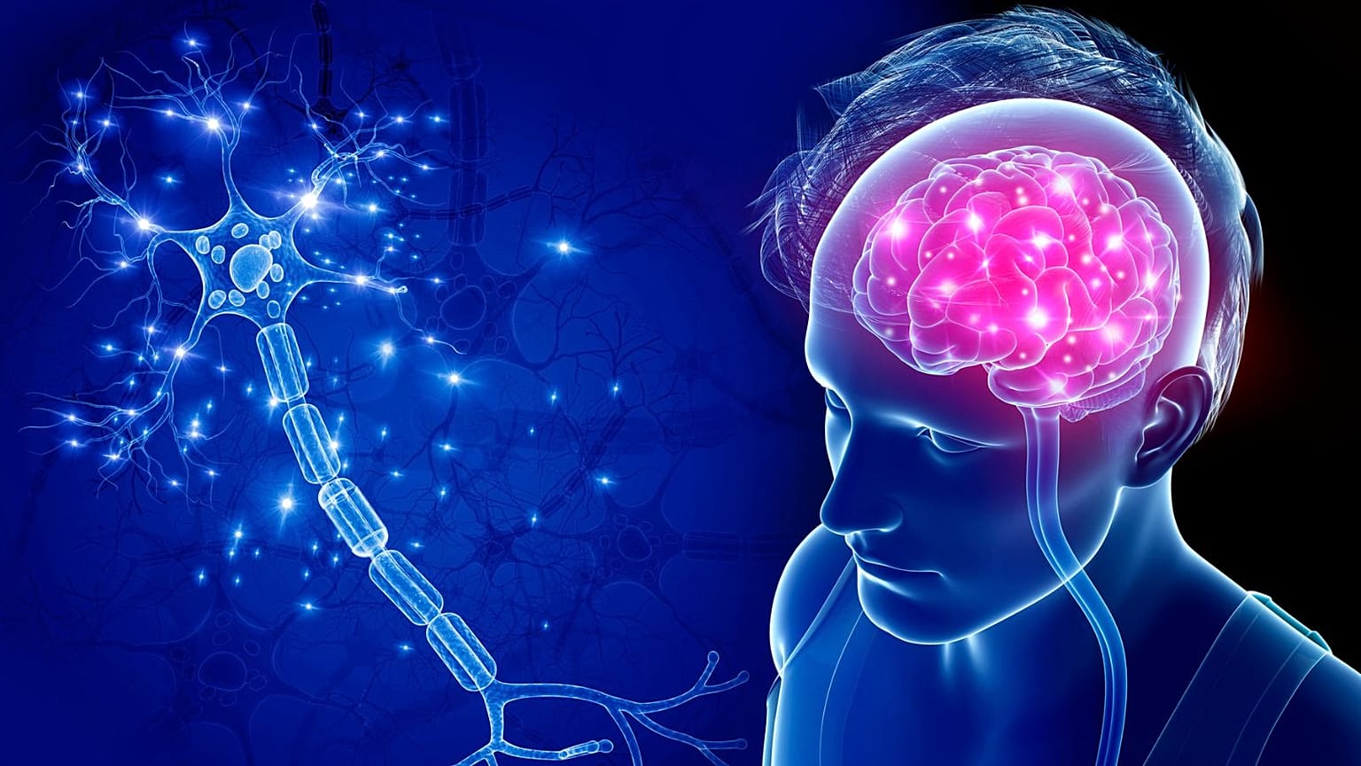 Brain-computer interfaces aim to use implants and algorithms to restore lost mobility and communication skills or treat neurological disorders.