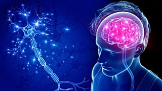 Brain-computer interfaces aim to use implants and algorithms to restore lost mobility and communication skills or treat neurological disorders.