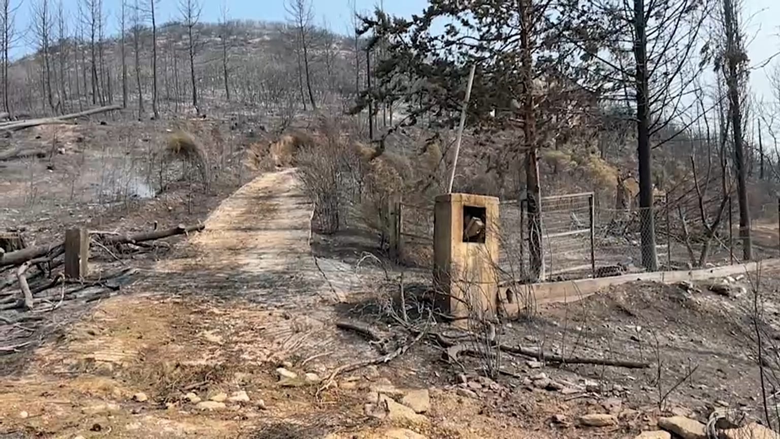 Part of the destroyed village of Avas in the Alexandrupolis region of northern Greece. Euronews Bulgaria.