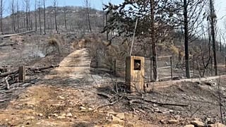 Part of the destroyed village of Avas in the Alexandrupolis region of northern Greece. Euronews Bulgaria. 