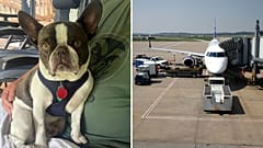 Allison Lyn Gaiser has been accused of intentionally abandoning her French bulldog at a Pennsylvania airport.
