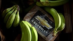 Las autoridades españolas han encontrado oculto en un contenedor procedente de Ecuador un paquete de cocaína procedente de un cargamento de 9,436 kg.