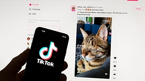 Google, Facebook, TikTok and other Big Tech companies operating in Europe are facing one of the most far-reaching efforts to clean up what people encounter online.