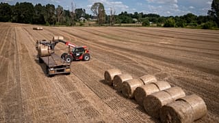 Un tractor recoge paja en un campo de una granja privada en Zhurivka, en la región ucraniana de Kiev, el jueves 10 de agosto de 2023.