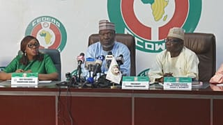 Ecowas sul Niger