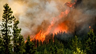 Imagen del incendio forestal de Donnie Creek, al norte de Fort St. John, Columbia Británica, el domingo 2 de julio de 2023.