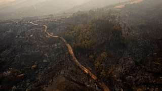 Kαμμένες εκτάσεις στον Έβρο
