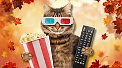 Prepárese para la televisión de otoño con nuestra guía práctica