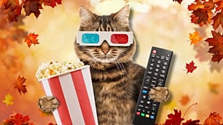 Preparatevi alla TV autunnale con la nostra guida