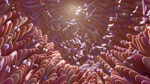 Researchers have discovered a common origin behind major childhood allergies