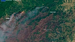 Une photo satellite réalisée par l'observatoire européen Copernicus de la forêt de Dadia, dans le nord-est de la Grèce, vendredi 25 août 2023.