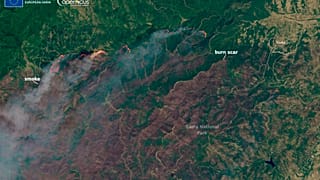 Une photo satellite réalisée par l'observatoire européen Copernicus de la forêt de Dadia, dans le nord-est de la Grèce, vendredi 25 août 2023.