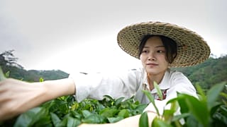 El amor por el té o el histórico lazo de unión entre China y Europa
