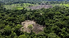 Uma área de desflorestação no Brasil
