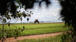 ‘A matter of justice’: Why are EU-banned pesticides still being exported from Europe?