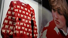 Schafpulli von Diana wird versteigert