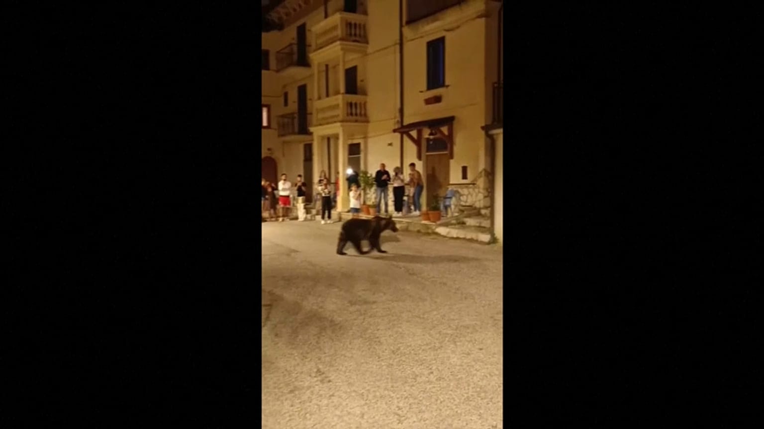 تجول الدببة في قرية إيطالية