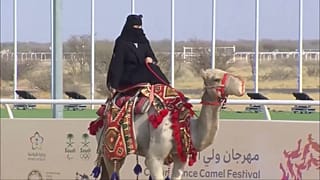 فعاليات مهرجان الجمال
