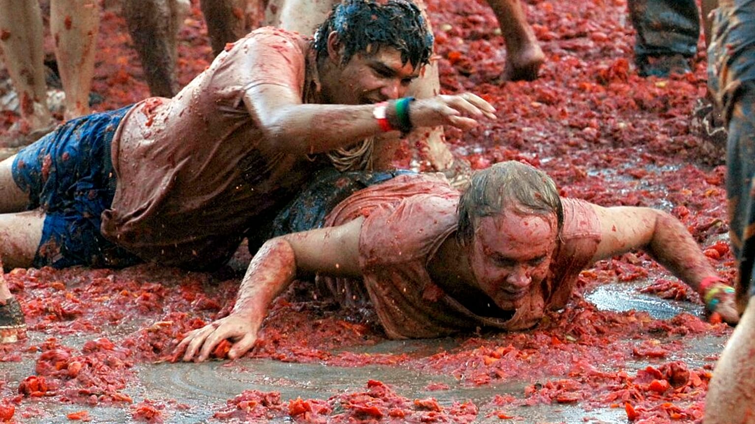 Como munición han utilizado 150 000 kilos de tomates tipo pera muy maduros. 
