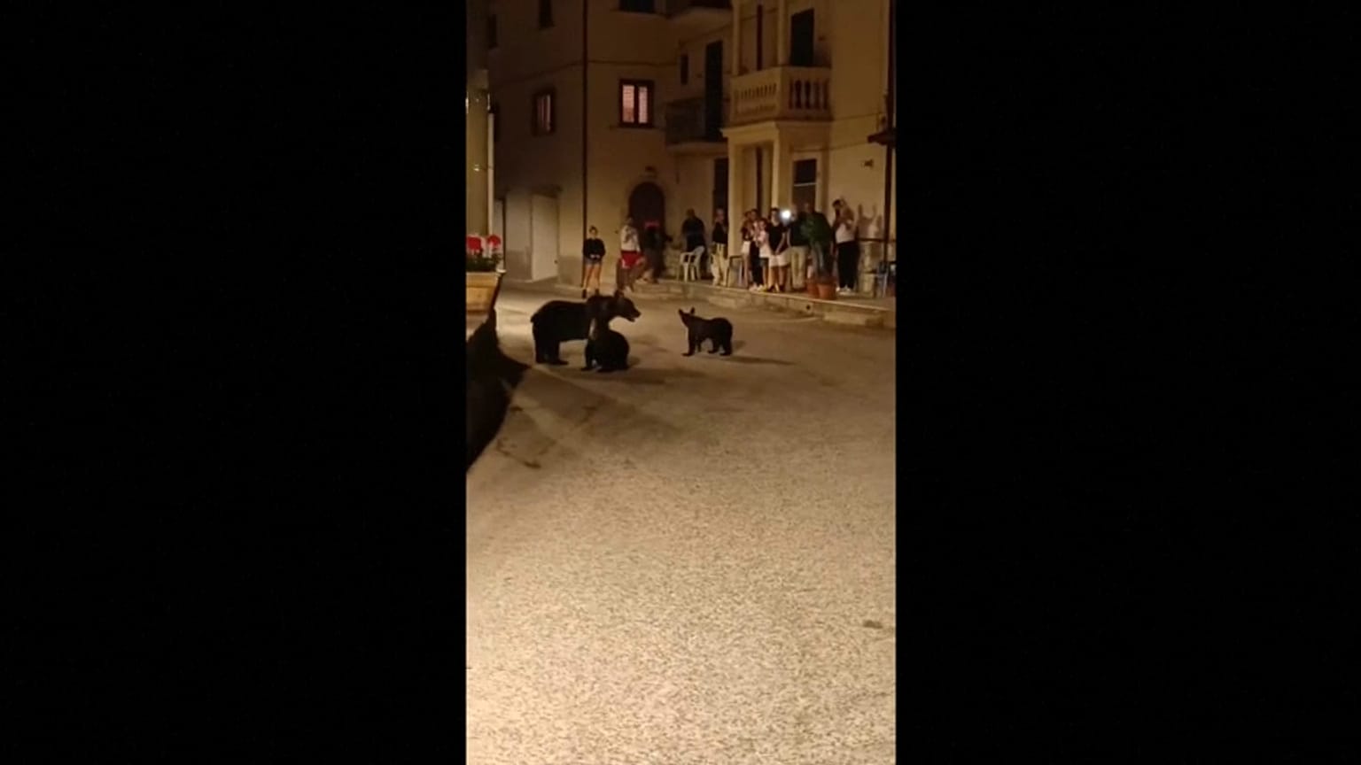 L'orsa Amarena con i suoi due cuccioli