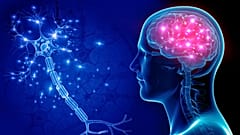 عکس تزئینی