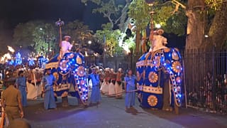 جشن در سریلانکا