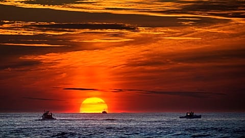 The European Commission and European Parliament have called for a moratorium on deep-sea mining, but not all EU countries have backed the calls.